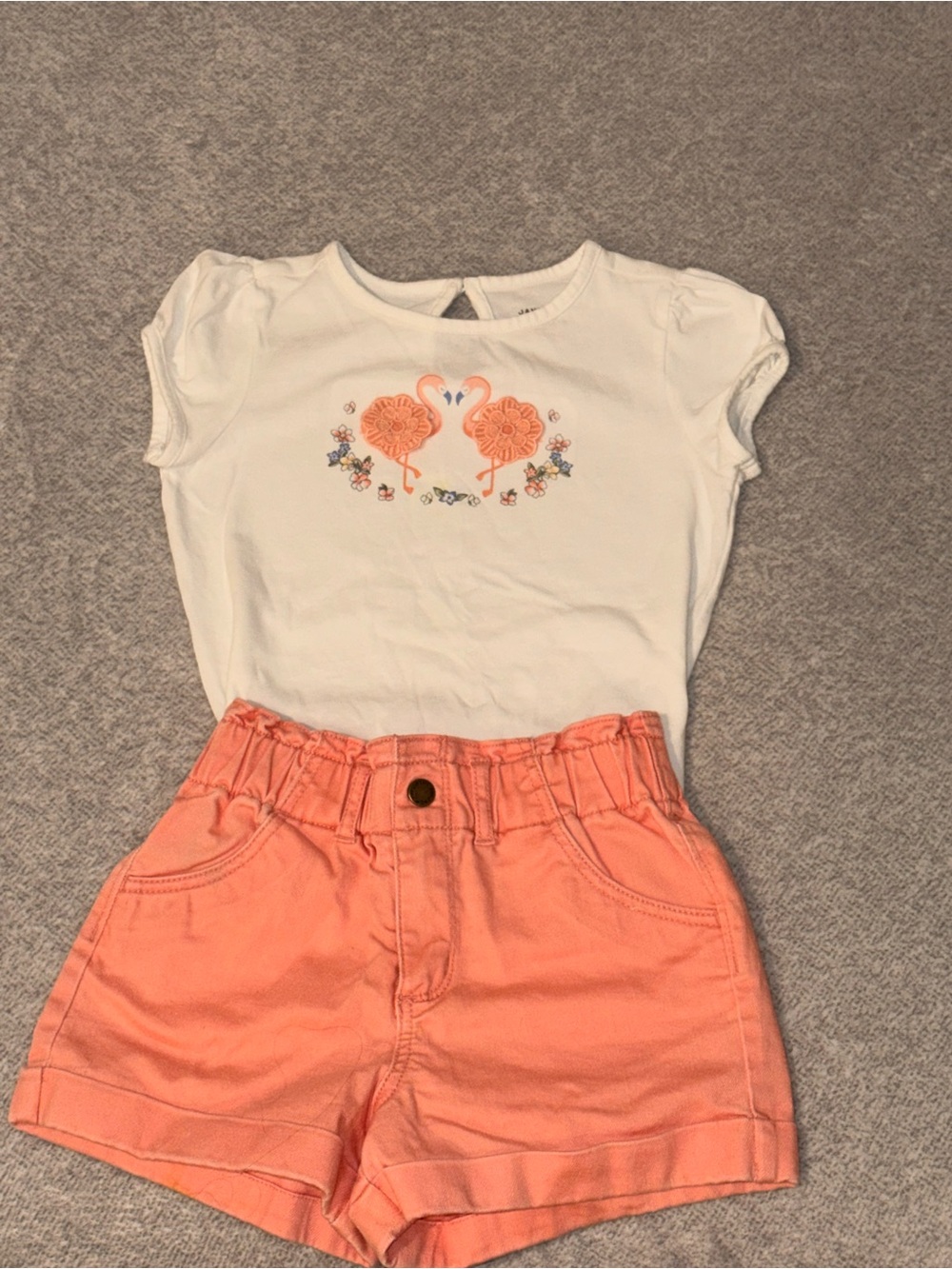 Janie and Jack White Tee with Coral Flamingo Motif & Coral Shorts